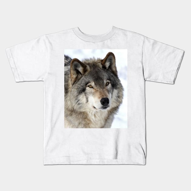 Timber Wolf Kids T-Shirt by Jim Cumming